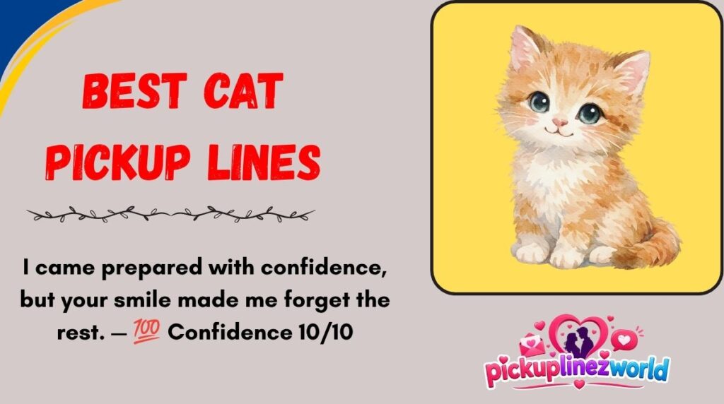 Best Cat Pickup Lines