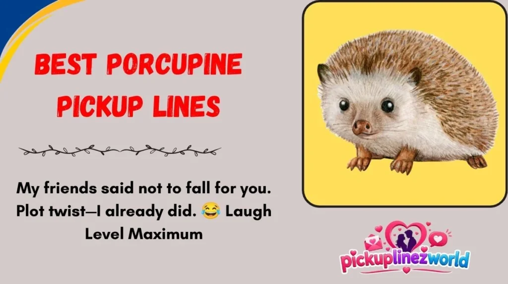 Best Porcupine Pickup Lines