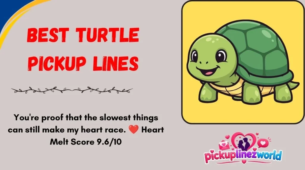 Best Turtle Pickup Lines