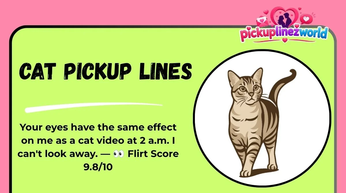 Cat Pickup Lines