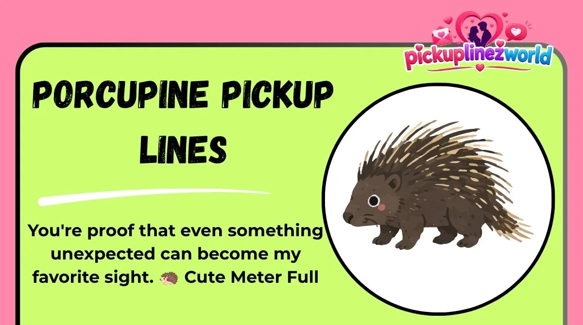 Porcupine Pickup Lines